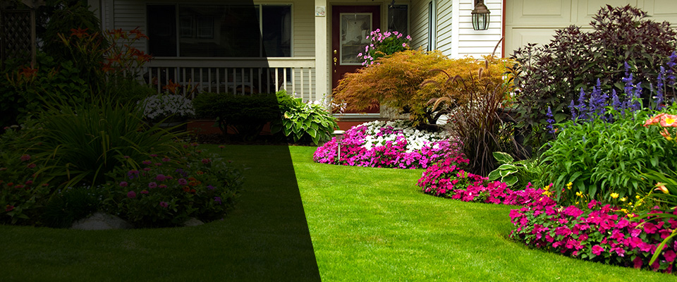 Diamondhead Landscapers