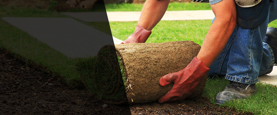 Diamondhead Landscapers